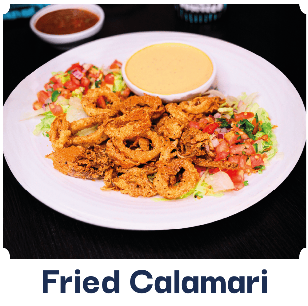 fried Calamari